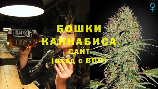 эйфоретик Билибино