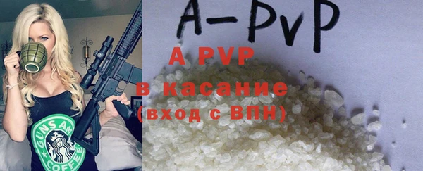 PSILOCYBIN Бородино