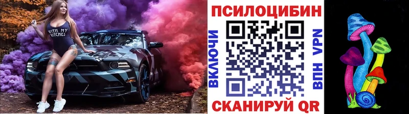 наркошоп  Венёв  Галлюциногенные грибы Psilocybine cubensis 