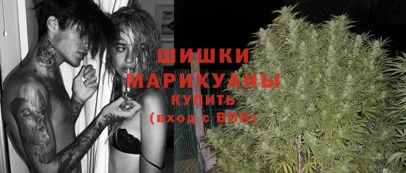 Шишки марихуана Ganja  продажа наркотиков  Венёв 